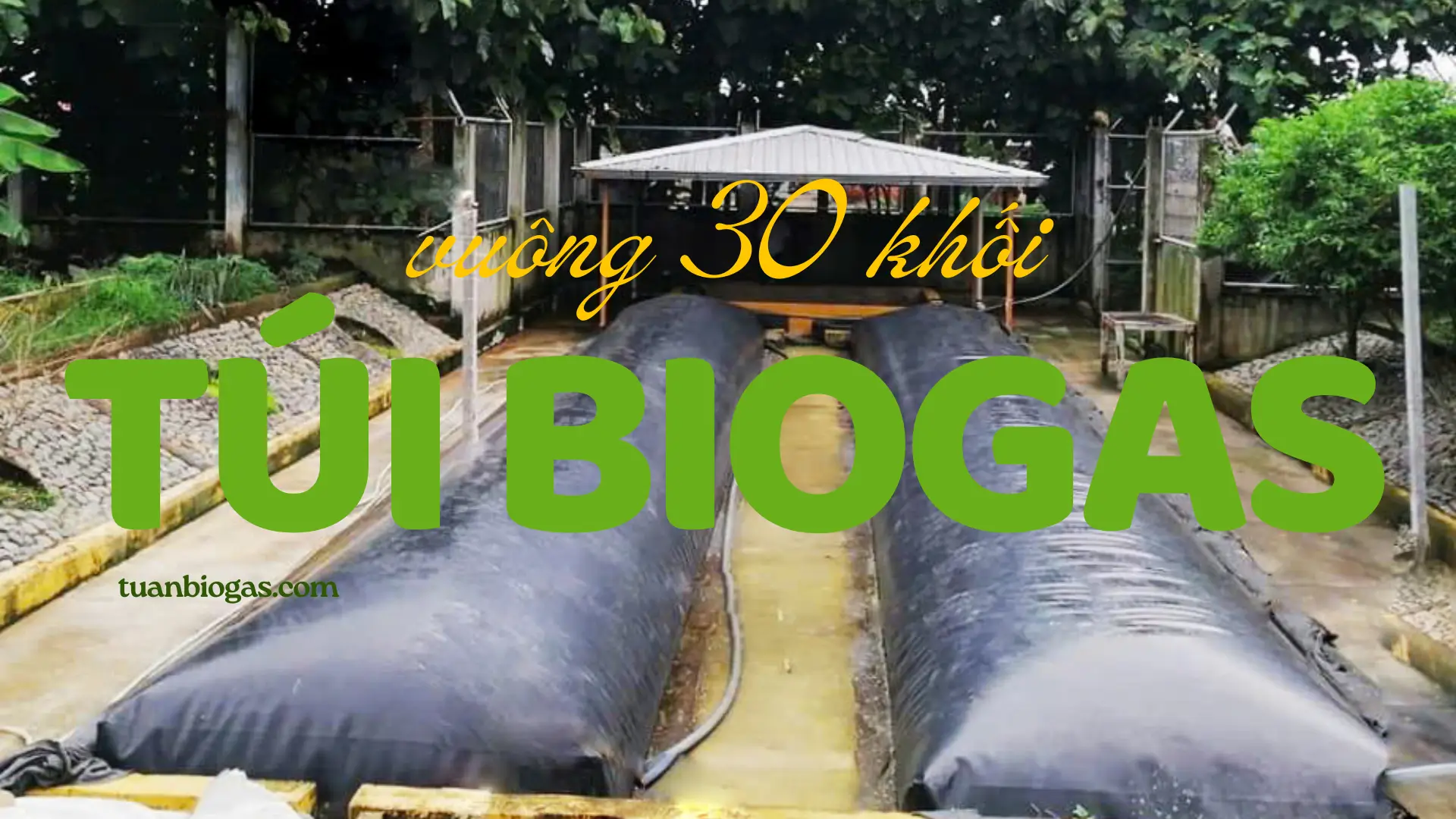 Túi Biogas Vuông 30 Khối Tuấn Biogas: Giải Pháp Xử Lý Chất Thải Khối Lượng Lớn, Tối Ưu Năng Lượng Trang Trại